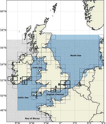 Pelagic connectivity of European sea bass between spawning and nursery grounds